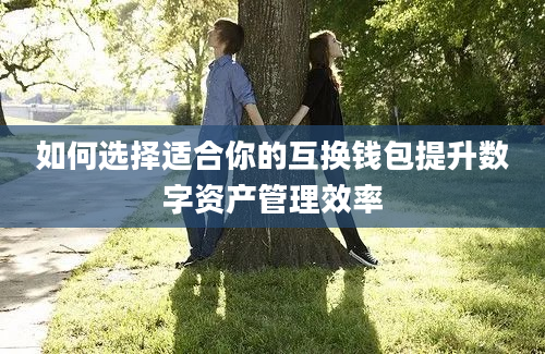 如何选择适合你的互换钱包提升数字资产管理效率