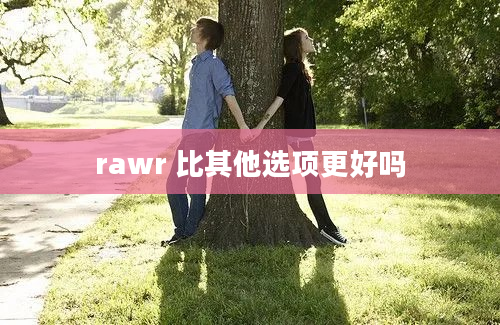 rawr 比其他选项更好吗