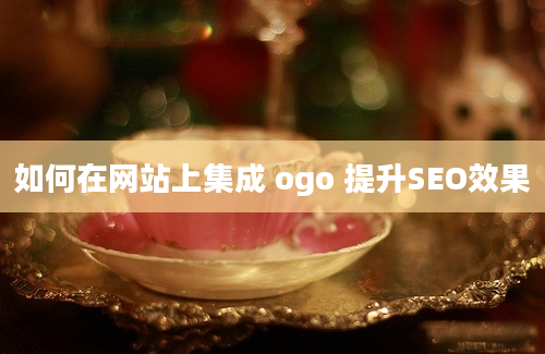 如何在网站上集成 ogo 提升SEO效果