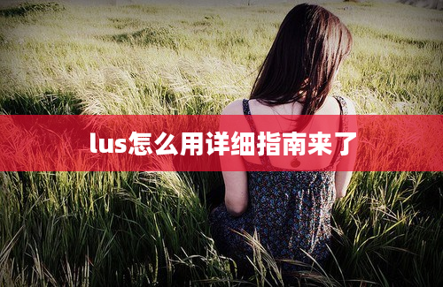 lus怎么用详细指南来了