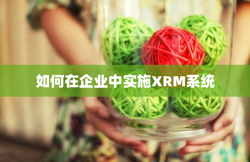 如何在企业中实施XRM系统