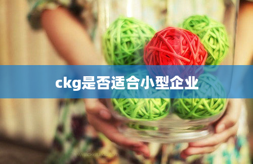 ckg是否适合小型企业