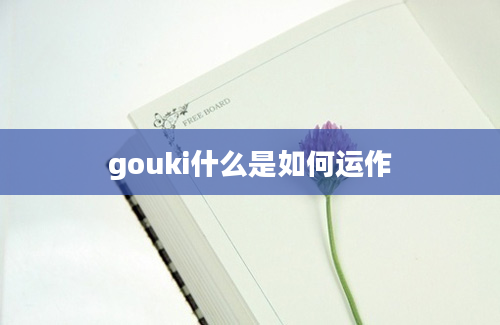 gouki什么是如何运作