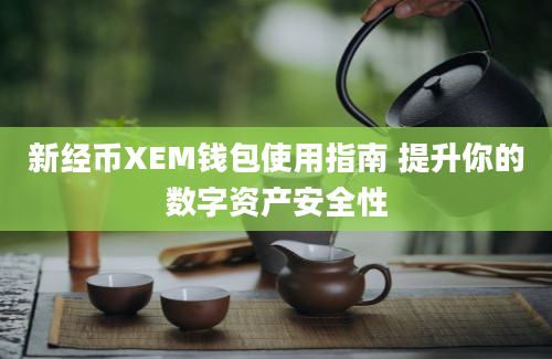 新经币XEM钱包使用指南 提升你的数字资产安全性