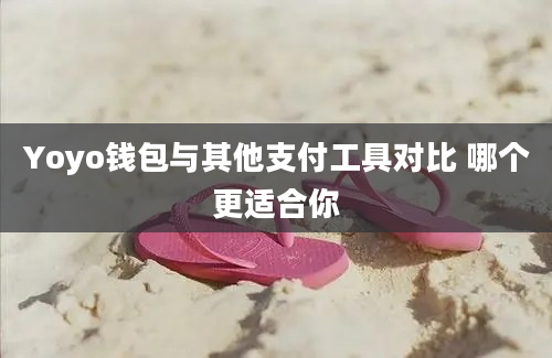 Yoyo钱包与其他支付工具对比 哪个更适合你