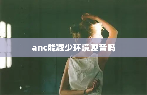 anc能减少环境噪音吗