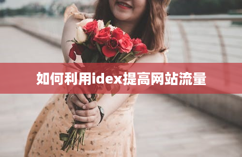 如何利用idex提高网站流量