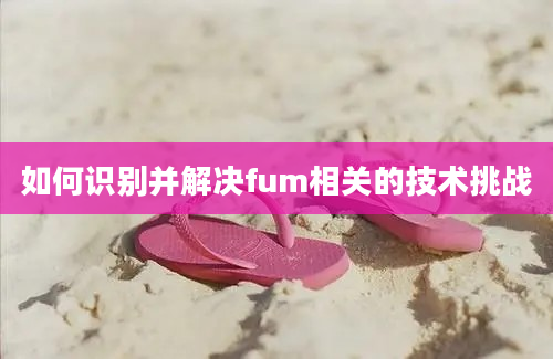 如何识别并解决fum相关的技术挑战