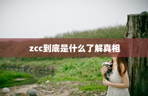 zcc到底是什么了解真相