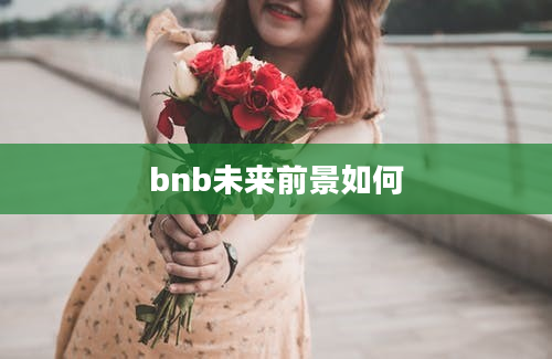 bnb未来前景如何