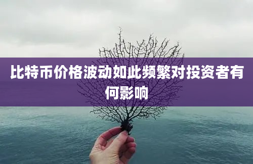 比特币价格波动如此频繁对投资者有何影响