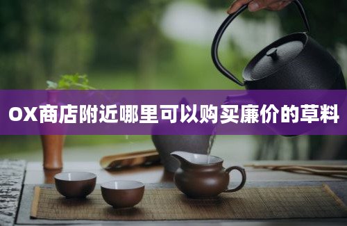 OX商店附近哪里可以购买廉价的草料