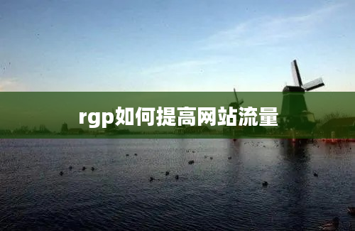 rgp如何提高网站流量