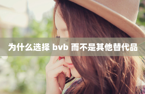 为什么选择 bvb 而不是其他替代品