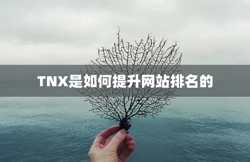 TNX是如何提升网站排名的