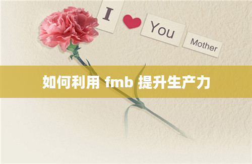 如何利用 fmb 提升生产力