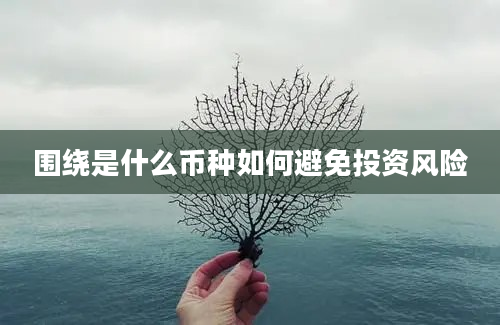 围绕是什么币种如何避免投资风险