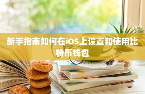 新手指南如何在iOS上设置和使用比特币钱包