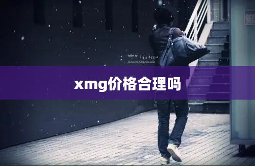 xmg价格合理吗