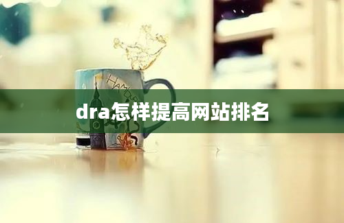 dra怎样提高网站排名