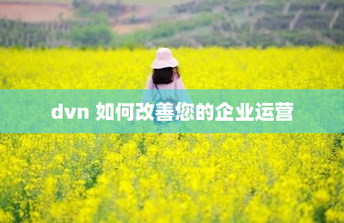 dvn 如何改善您的企业运营