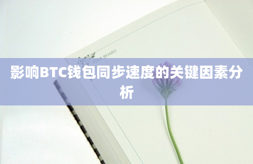 影响BTC钱包同步速度的关键因素分析