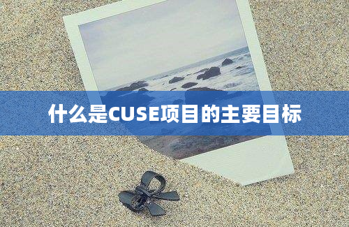 什么是CUSE项目的主要目标