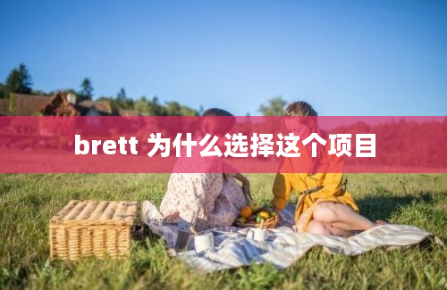 brett 为什么选择这个项目