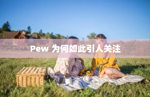 Pew 为何如此引人关注