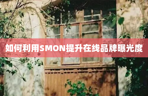 如何利用SMON提升在线品牌曝光度