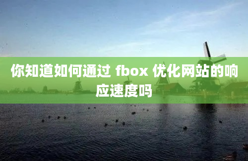 你知道如何通过 fbox 优化网站的响应速度吗