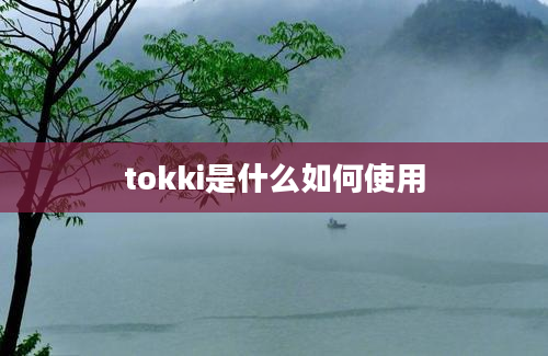 tokki是什么如何使用