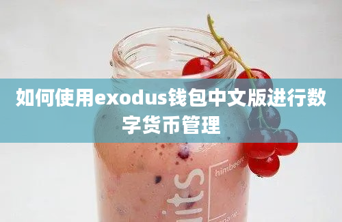 如何使用exodus钱包中文版进行数字货币管理