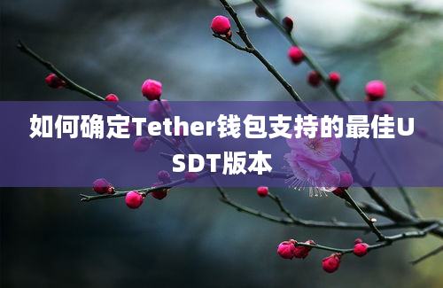 如何确定Tether钱包支持的最佳USDT版本