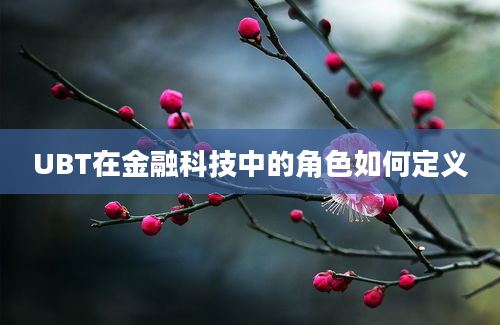 UBT在金融科技中的角色如何定义