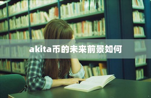 akita币的未来前景如何