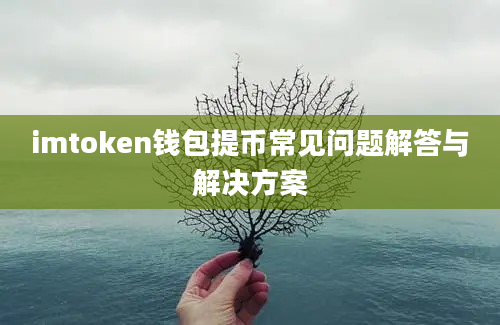 imtoken钱包提币常见问题解答与解决方案