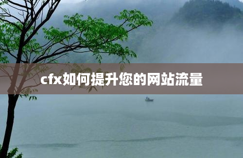 cfx如何提升您的网站流量