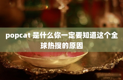 popcat 是什么你一定要知道这个全球热搜的原因