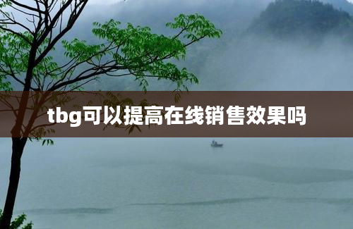 tbg可以提高在线销售效果吗