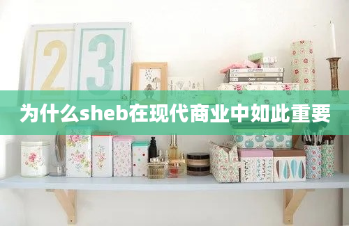 为什么sheb在现代商业中如此重要