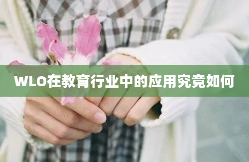 WLO在教育行业中的应用究竟如何