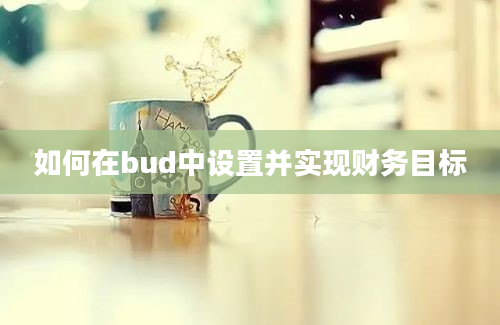 如何在bud中设置并实现财务目标