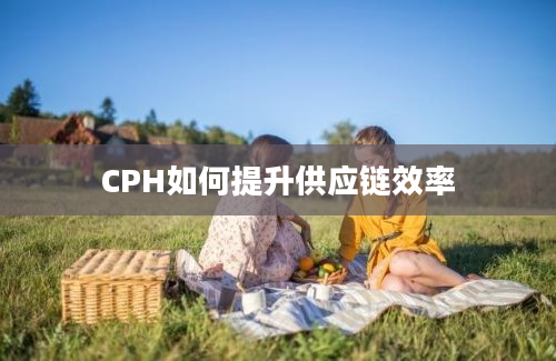 CPH如何提升供应链效率