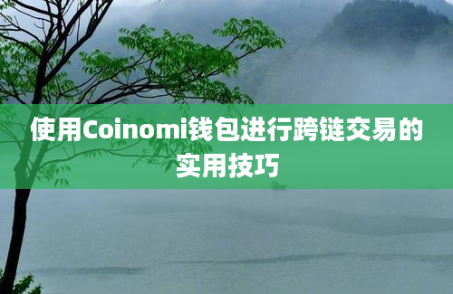 使用Coinomi钱包进行跨链交易的实用技巧