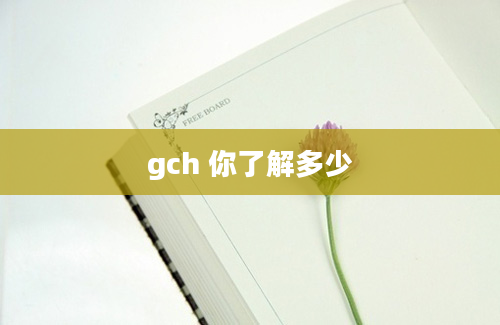 gch 你了解多少