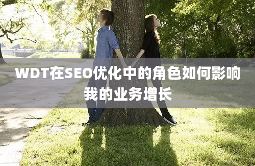 WDT在SEO优化中的角色如何影响我的业务增长