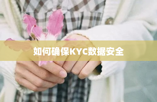 如何确保KYC数据安全