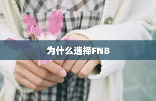 为什么选择FNB