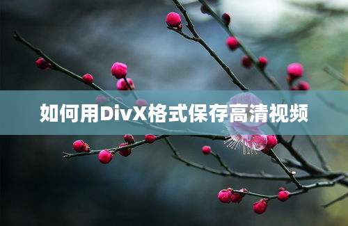 如何用DivX格式保存高清视频